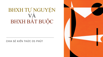 Bảo hiểm xã hội tự nguyện và bảo hiểm xã hội bắt buộc || Kiểm toán AS