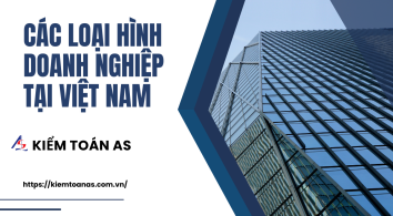 4 loại hình doanh nghiệp phổ biến tại Việt Nam || Kiểm toán AS