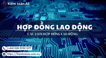 Các loại hợp đồng lao động || Kiểm toán AS