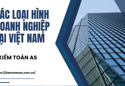 4 loại hình doanh nghiệp phổ biến tại Việt Nam || Kiểm toán AS
