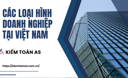 4 loại hình doanh nghiệp phổ biến tại Việt Nam || Kiểm toán AS