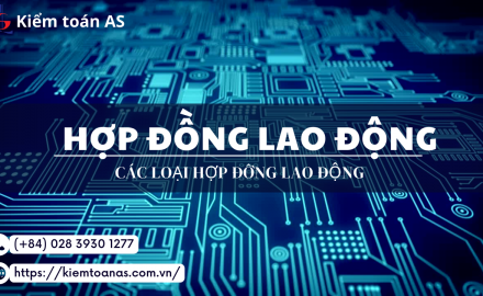 Các loại hợp đồng lao động || Kiểm toán AS
