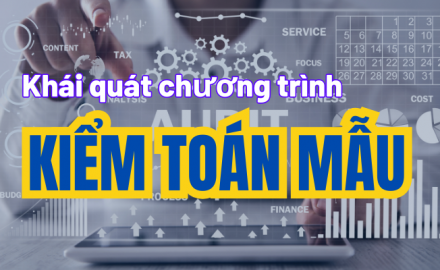 Khái quát về chương trình kiểm toán mẫu || Kiểm Toán AS