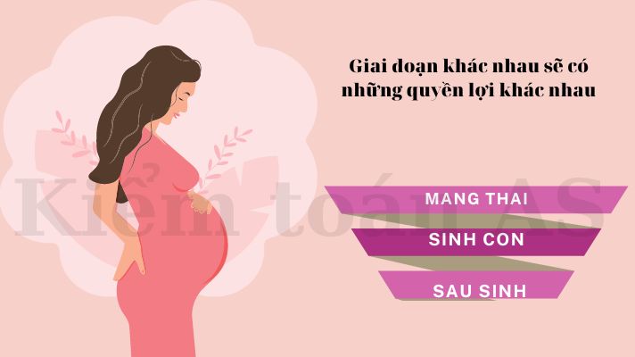 3 GIAI ĐOẠN CỦA CHẾ ĐỘ THAI SẢN